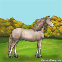 Horse Color:Liver Chestnut Pearl  and Liver Chestnut Pearl Splash 