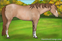 Horse Color:Bay Pearl  and Bay Pearl 