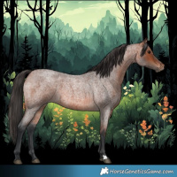 Horse Color:Bay Roan 