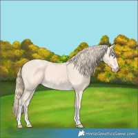 Horse Color:Perlino Tobiano