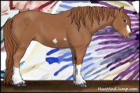 Horse Color:Chestnut Splash Frame