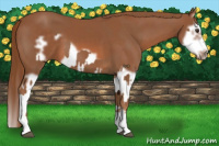 Horse Color:Chestnut Splash Frame  and Chestnut Splash Frame 