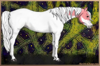 Horse Color:Gray Bay Dun 
