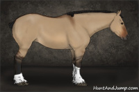 Horse Color:Gray Bay Dun Tobiano 