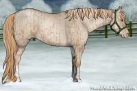 Horse Color:Liver Chestnut Pearl  and Liver Red Dun Pearl 