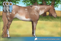 Horse Color:Brown Pearl  and White Spotted Liver Chestnut Pearl Tobiano 