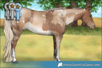 Horse Color:Brown Pearl and White Spotted Liver Chestnut Snowdrop Pearl Tobiano
