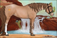 Horse Color:Brown Pearl  and Brown Pearl 