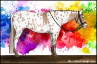 Horse Color:Brown Pearl  and Brown Pearl Leopard 