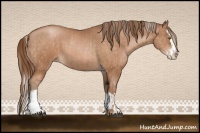 Horse Color:Silver Bay Pearl  and Bay Pearl Splash 