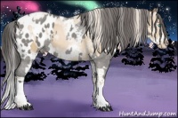 Horse Color:White Spotted Silver Buckskin Pearl Dun Splash Tobiano Frame  and White Spotted Grullo Roan Splash Blanket 