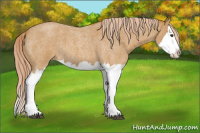 Horse Color:Palomino Roan Splash 