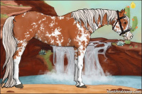 Horse Color:Silver Bay Sabino  and Silver Bay Sabino 