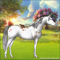 Horse Color:Bay Sabino  and Bay Sabino 