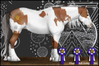 Horse Color:Bay Sabino  and Bay Sabino 