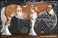 Horse Color:Bay Sabino  and Silver Bay Sabino 