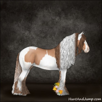 Horse Color:Brown Pearl  and Brown Pearl Varnish 