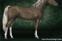 Horse Color:Chocolate Palomino Mushroom Tobiano 