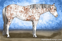 Horse Color:Bay Sabino  and Bay Sabino 
