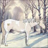 Horse Color:Smoky Creme Roan Tobiano 