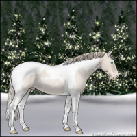 Horse Color:Smoky Creme Roan Tobiano 
