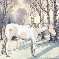 Horse Color:Smoky Creme Roan Tobiano 