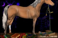 Horse Color:Silver Bay 