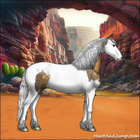 Horse Color:Silver Smoky Black Splash Tobiano