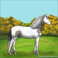 Horse Color:Grullo Roan Splash Tobiano