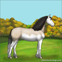 Horse Color:Bay Roan Dun Splash 