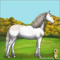 Horse Color:Smoky Creme Splash 
