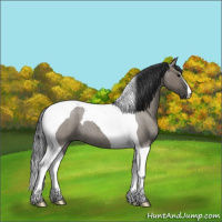 Horse Color:Grullo Roan Tobiano 
