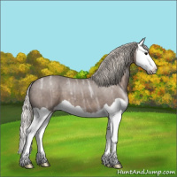 Horse Color:Silver Black Ice Splash 