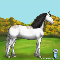 Horse Color:Bay Ice Roan Dun Splash 