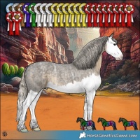Horse Color:Silver Smoky Blue Ice Roan Splash