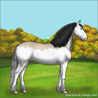Horse Color:Brown Roan Dun Splash 