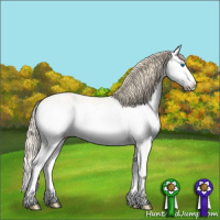 Horse Color:Perlino Ice Dun Splash 
