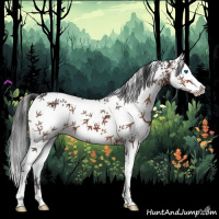 Horse Color:White Spotted Brown Splash 