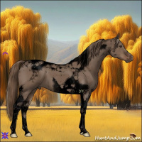 Horse Color:Void Liver Red Dun Tobiano 