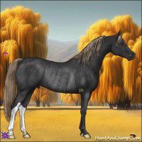 Horse Color:Liver Chestnut Rabicano