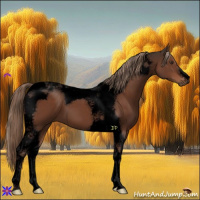 Horse Color:Void Liver Chestnut Tobiano 