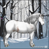 Horse Color:White Spotted Brown Appaloosa 