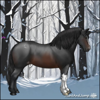Horse Color:Brown Appaloosa 