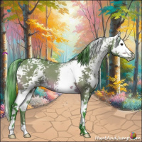 Horse Color:Watercolor White Spotted Bay Sabino Splash 