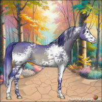 Horse Color:Watercolor White Spotted Bay 