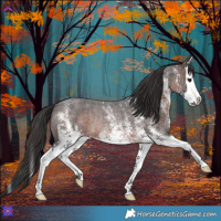 Horse Color:White Spotted Brown Roan Splash Rabicano 