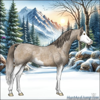 Horse Color:Chocolate Palomino Ice Roan Sabino Splash