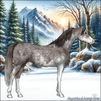 Horse Color:Liver Chestnut Ice Sabino 