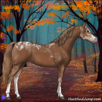 Horse Color:Chestnut Tobiano 