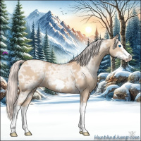 Horse Color:Silver Classic Champagne Ice Dun Splash Frame 